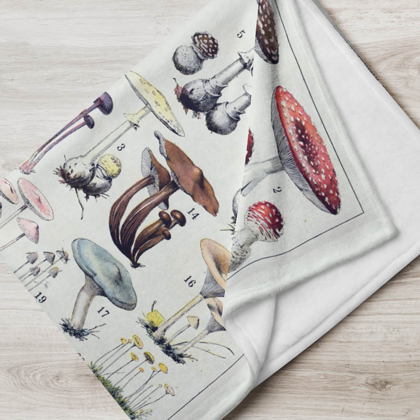 Elegant fleece blanket with a detailed illustration of various mushroom species draped on a wooden floor, offering both a cozy home accessory and an educational glimpse into mycology